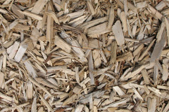 biomass boilers Tipps End