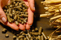 free Tipps End biomass boiler quotes